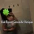 Van Escort Güvenilir İletişim